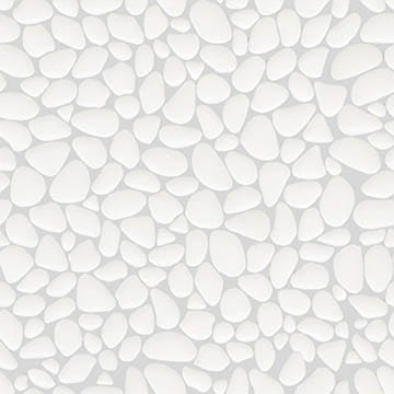 VNS-00065