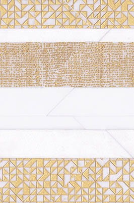 VNS-00066