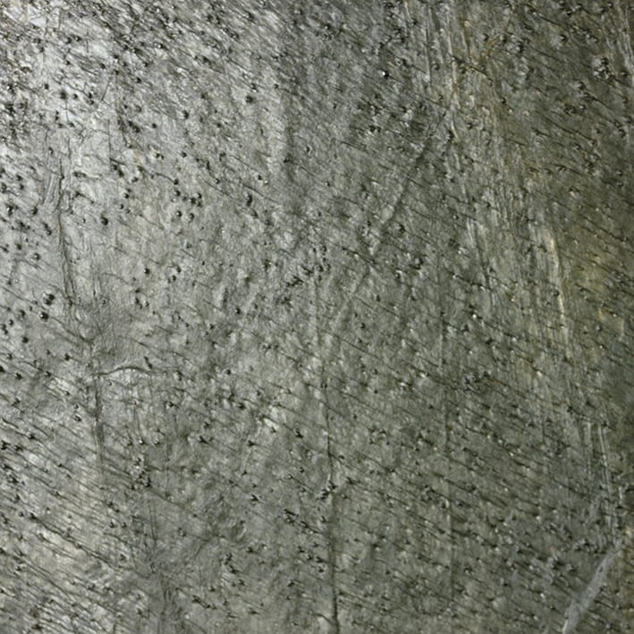 VNS-00080