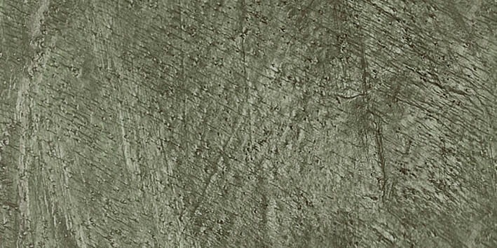 VNS-00080