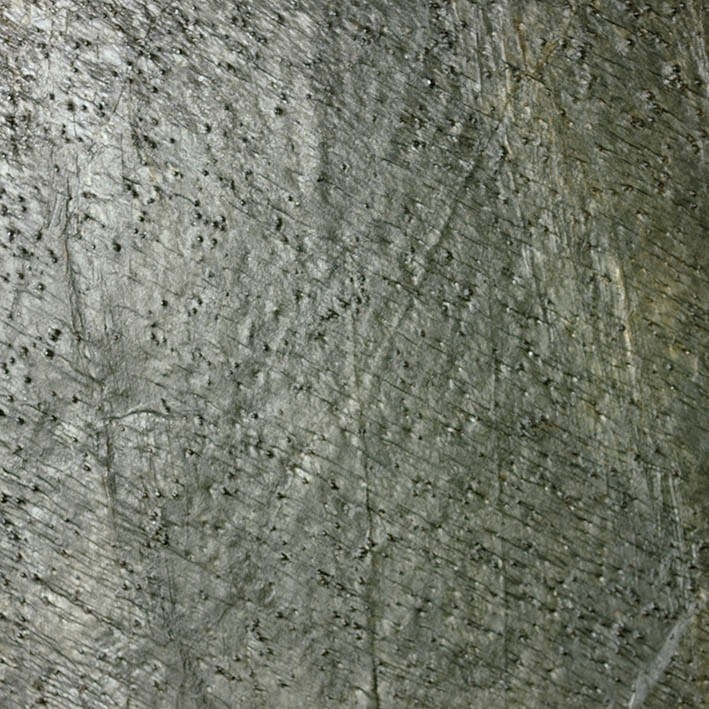 VNS-00081