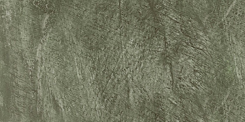 VNS-00081