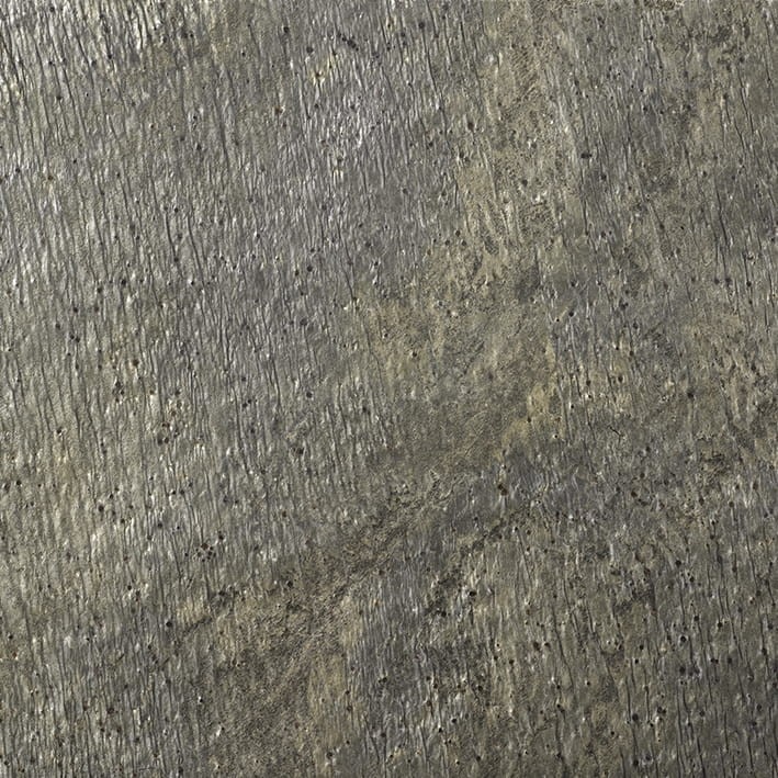 VNS-00083