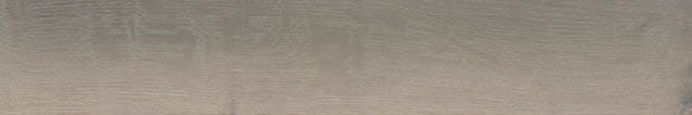 VNS-00209