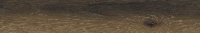 VNS-00210