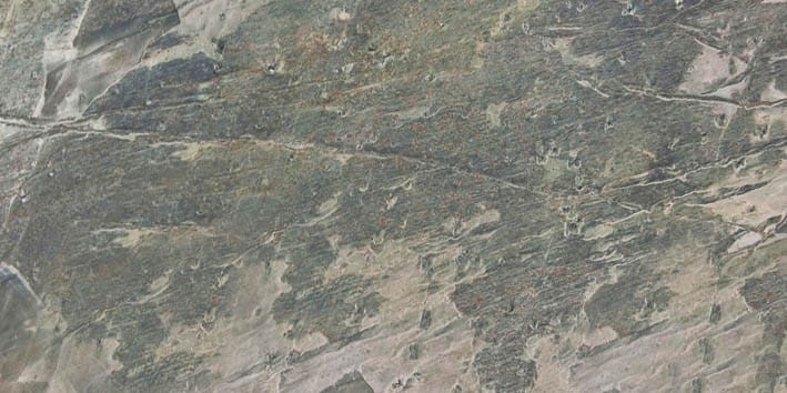 VNS-00215