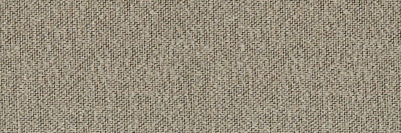 VNS-00231