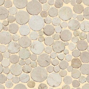 VNS-00306