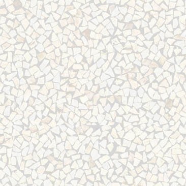 VNS-00308