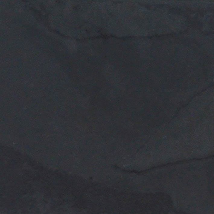 VNS-00313