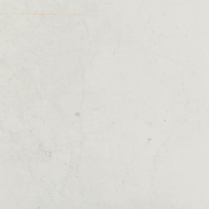 Płyty marmurowe L'Antic Persian White Classico Bpt 9,8x30x1,5 cm