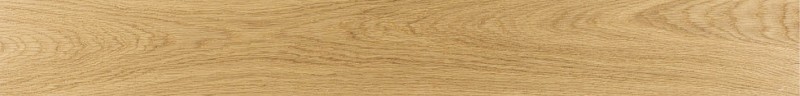 VNS-00334