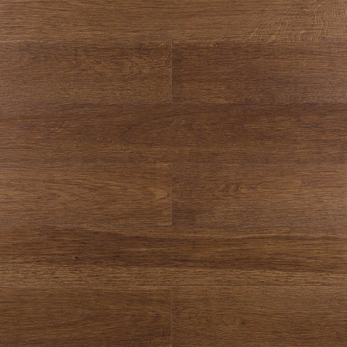 VNS-00336