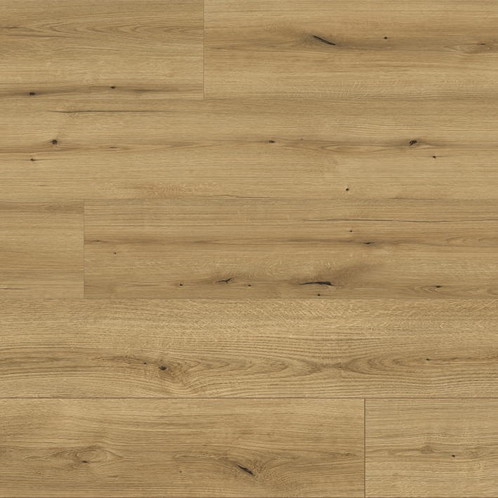 VNS-00404
