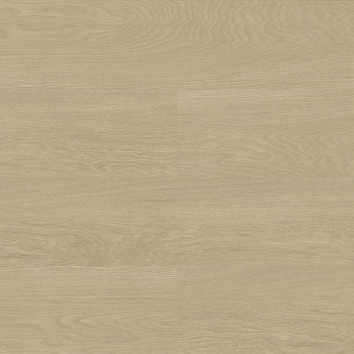 VNS-00406