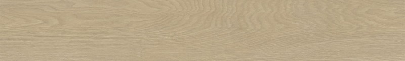 VNS-00406