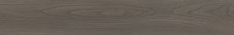 VNS-00408