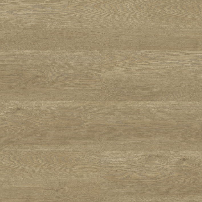 VNS-00409