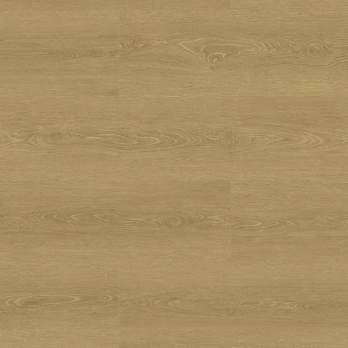 VNS-00417
