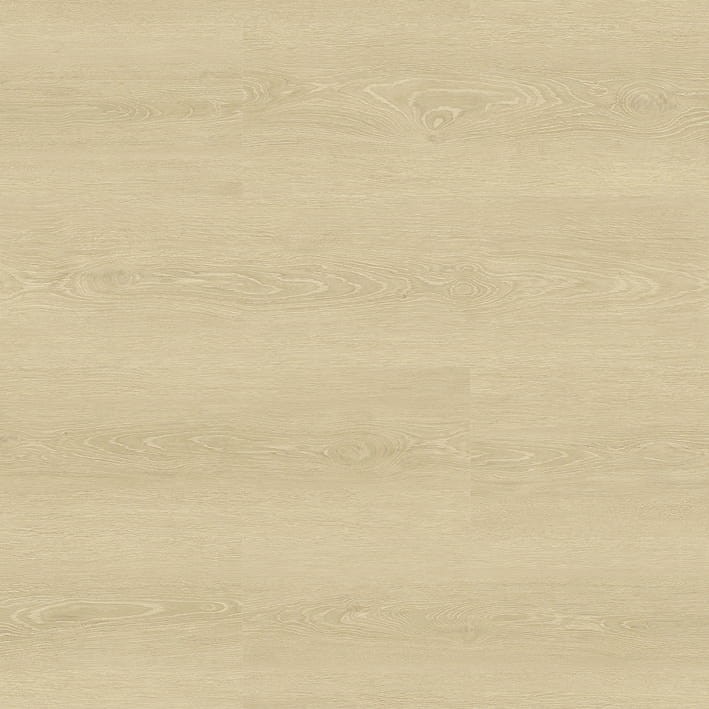 VNS-00418