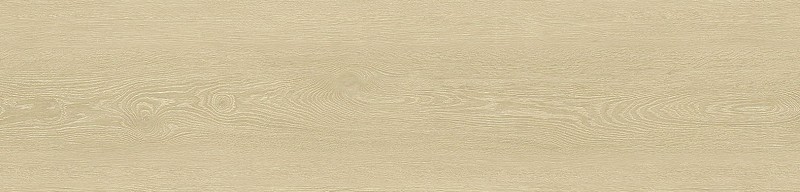 VNS-00418