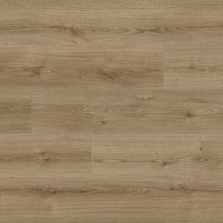 VNS-00420