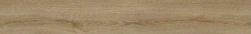 VNS-00420
