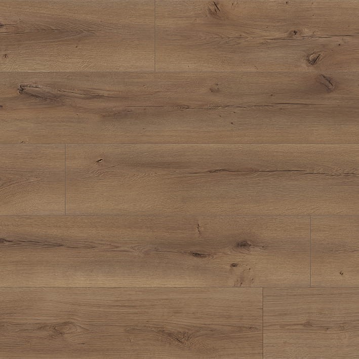 VNS-00421