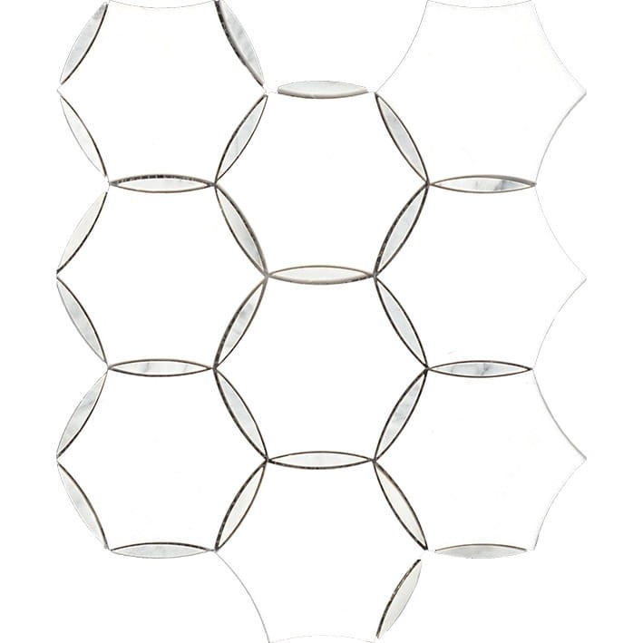 VNS-00474