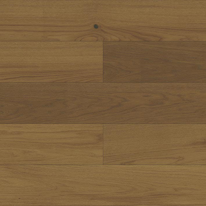 VNS-00483