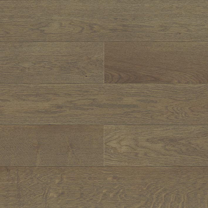 VNS-00484