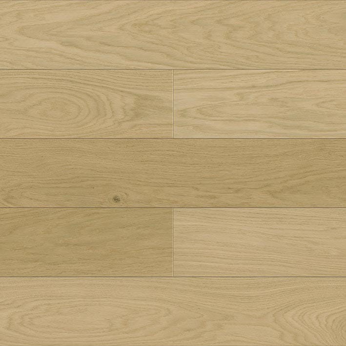 VNS-00486
