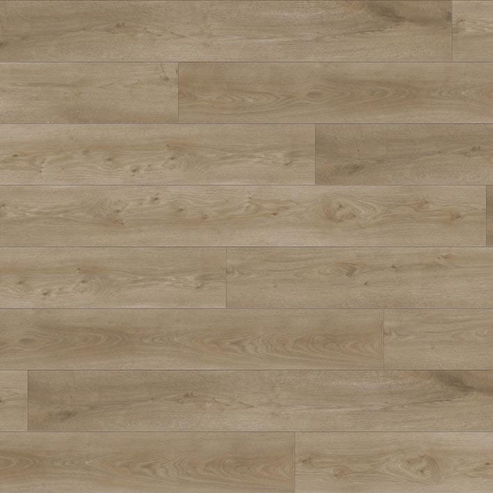 VNS-00522