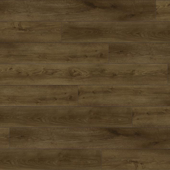 VNS-00523