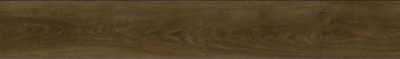 VNS-00523