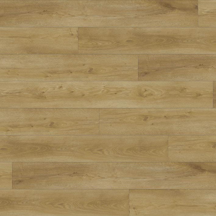 VNS-00525