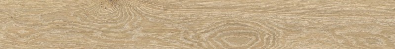 VNS-00526