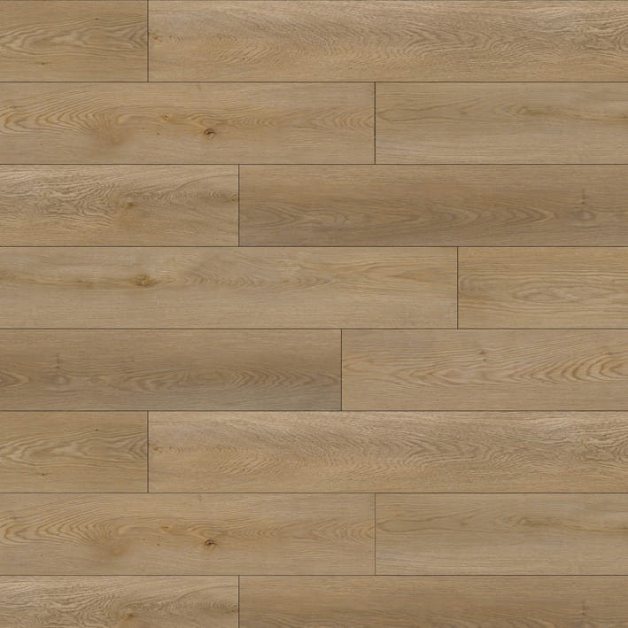 VNS-00528