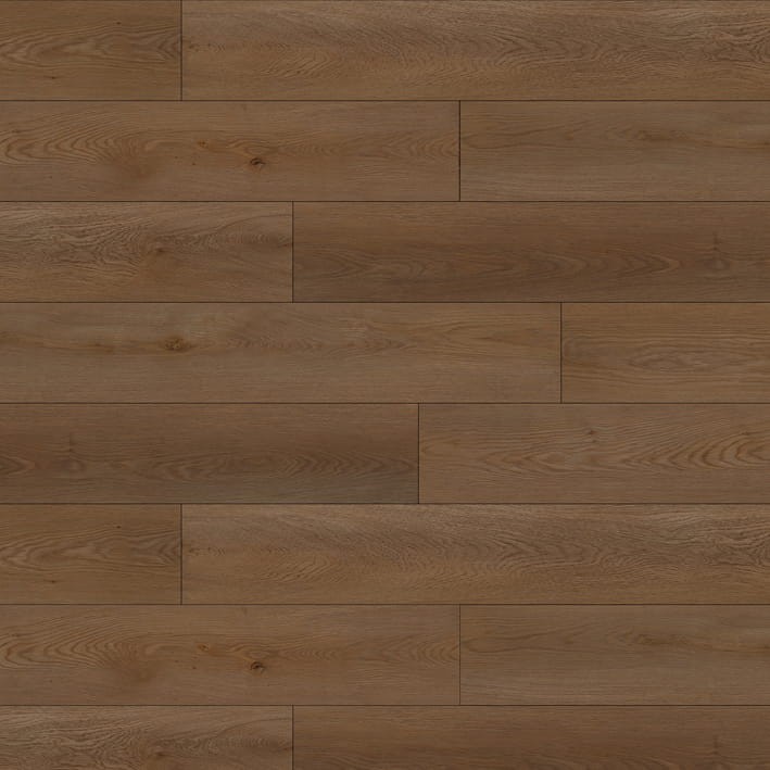 VNS-00529