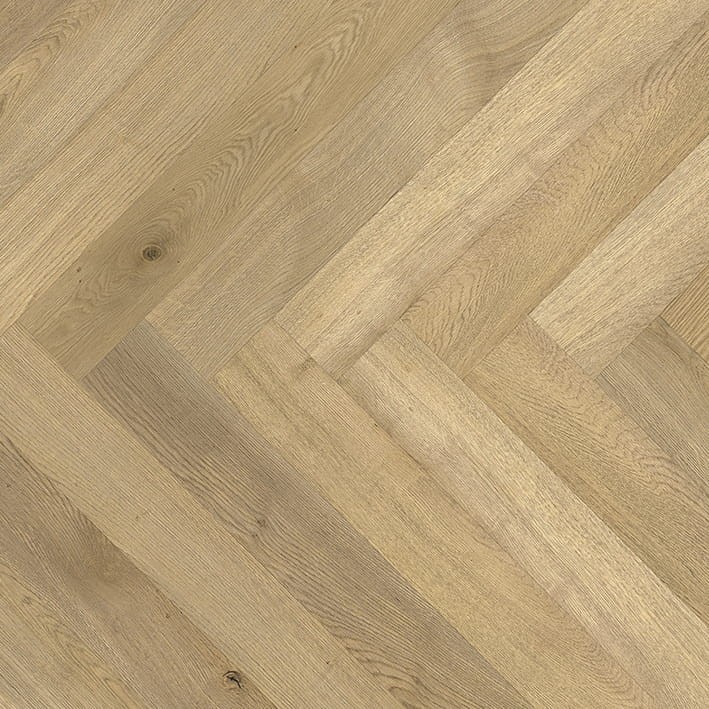 VNS-00533