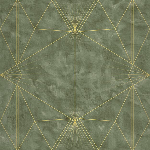 VNS-00580