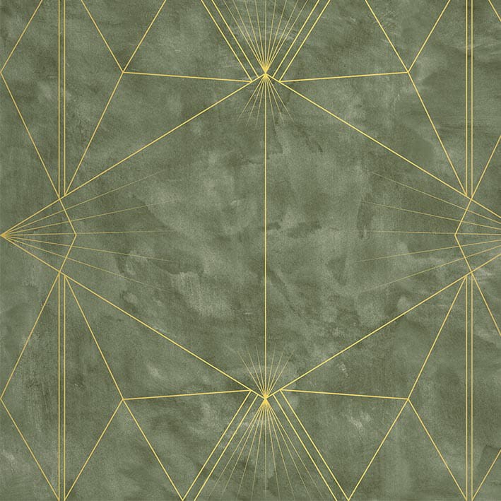 VNS-00580