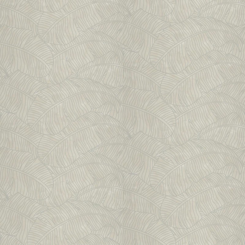 VNS-00586