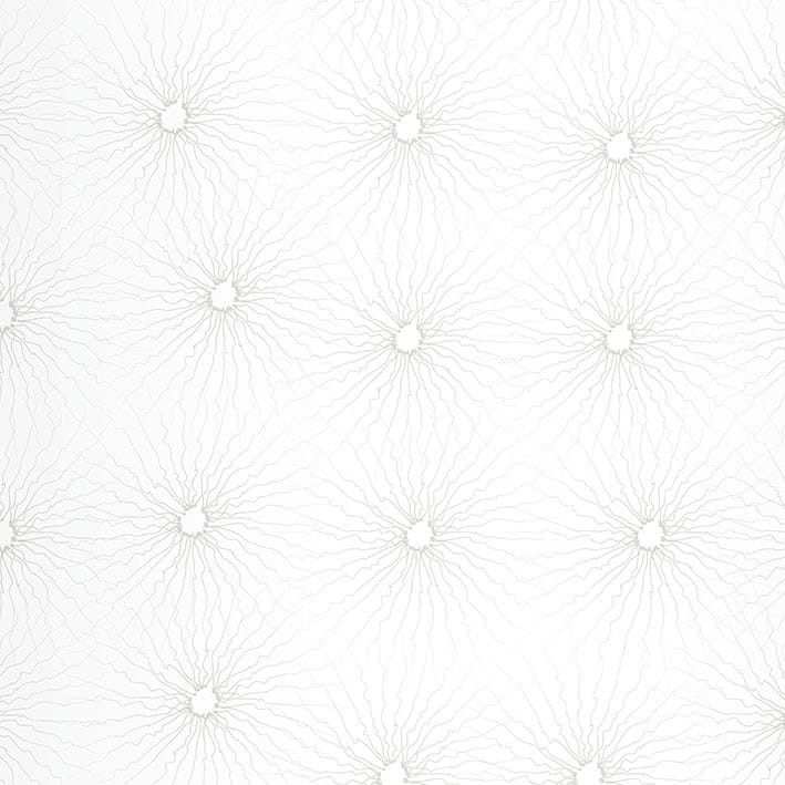 VNS-00594