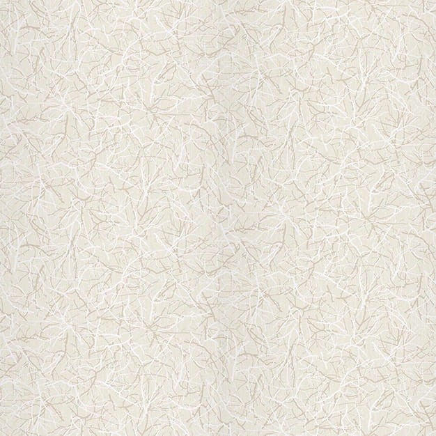 VNS-00597