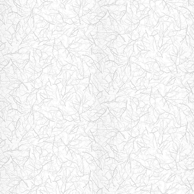 VNS-00599
