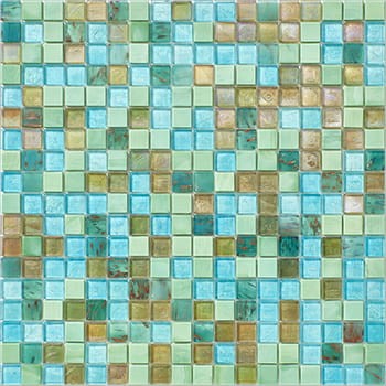 VNS-00620