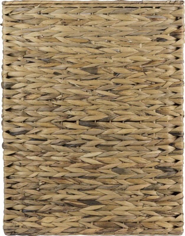 HIACYNT WODNY 362L