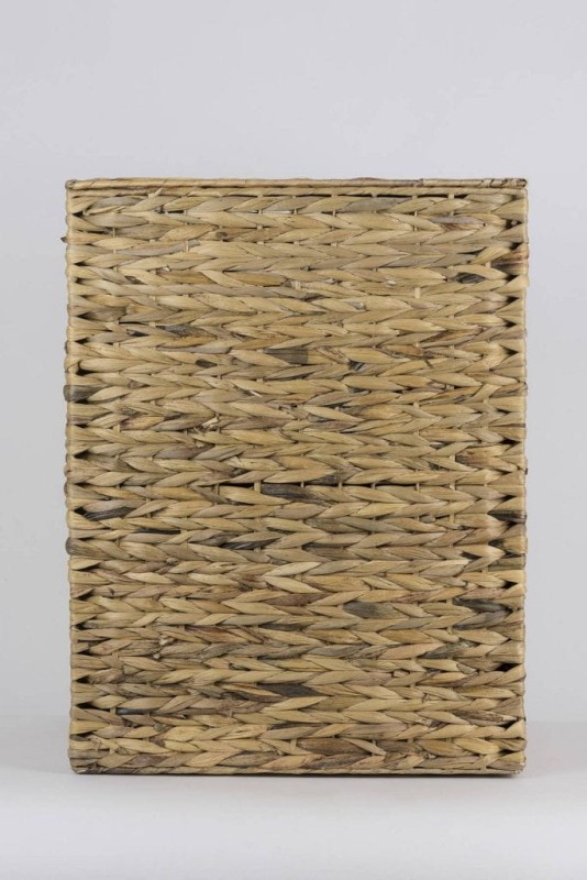 HIACYNT WODNY 362L