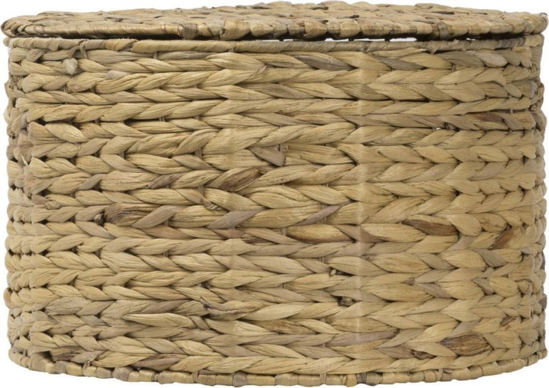 HIACYNT WODNY 363S